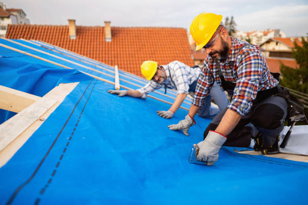 Professional Roofing Contractor in Avon Lake, OH