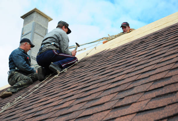 Best Flat Roof Repair Services  in Avon Lake, OH